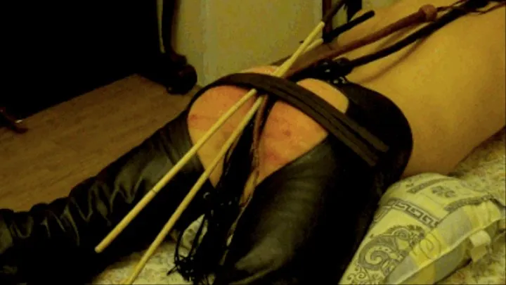 Tawsed, Caned & Whipped