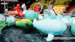 Inflatable Wonderland