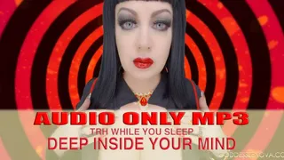 The Rabbit Hole series- AUDIO ONLY MP3 Deep Inside Your Mind