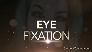 Eye Fixation
