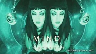 The Mind Labyrinth- audio only MP3