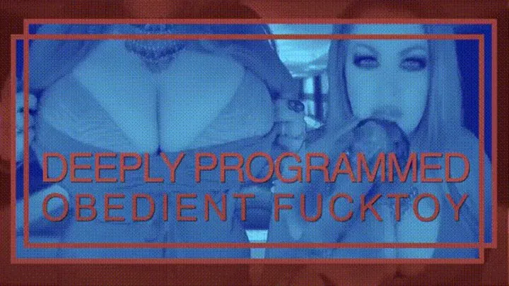 Deeply Programmed Obedient Fucktoy