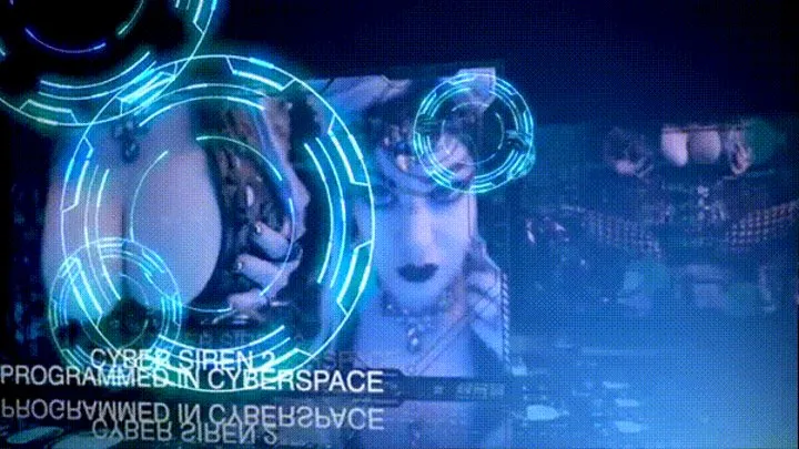 The Cyber Siren 2, Programmed in Cyberspace