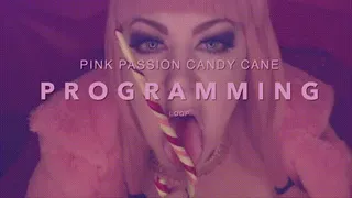 Pink Passion Candy Cane Programming Loop