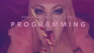 Pink Passion Candy Cane Programming Loop