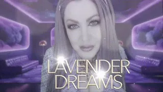 Lavender Dreams