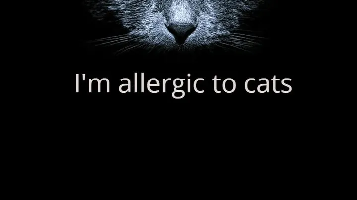 Allergy to cats