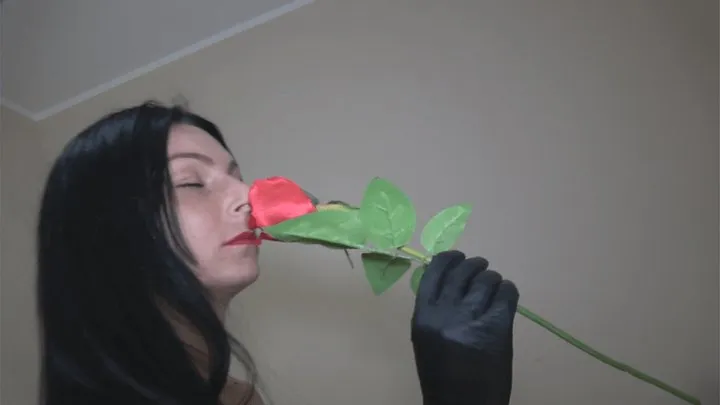 I love roses