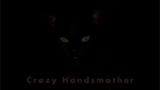 CRAZY HANDSMOTHER-Custom