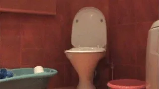 Toilet clip Day 9 (farting)