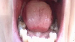 Inside mouth Filmed outside