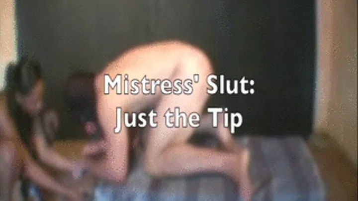 Mistress' Slut Just the Tip II