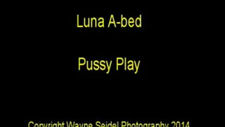 Iva Nora's Pussy Play