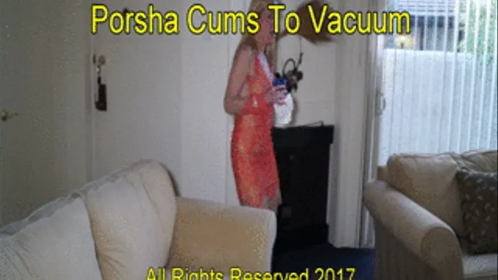 Porsha Vacuums