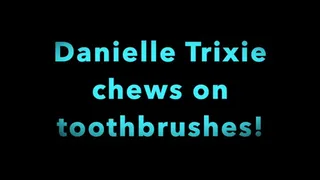 Danielle Trixie Chomps, Chews and destroys her toobrushes POV