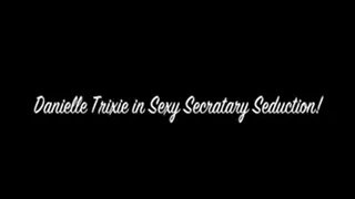 Sexy Secretary Seduction!