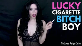 Lucky Cigarette Bitchboy