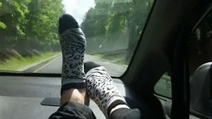 Road Trip With My Sneakers, Socks and Feet With Jasmin Jai
