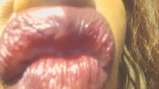 Wet Lips and Sniff