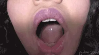 Tour Of My Mouth