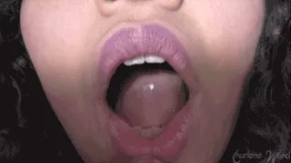 Tour of My Mouth