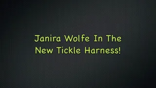 Janira Wolfe In the Tickle Harness