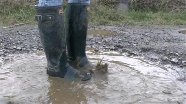 Worship My Hunter Wellington Boots as I Splash in Dirty Puddles