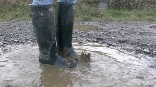 Worship My Hunter Wellington Boots as I Splash in Dirty Puddles