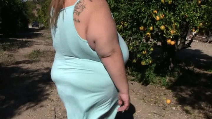 BBW Lola LoveBug is walking around in the orchards in a light blue dress