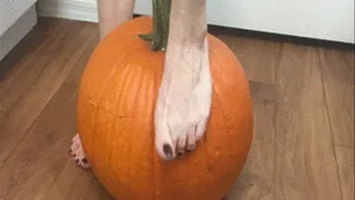 Pumpkin Feet