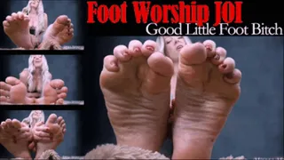 Foot Worship JOI: Good Little Foot Bitch