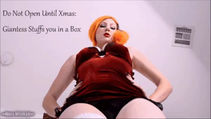 Do Not Open Until Xmas: Giantess Stuffs you in a Box