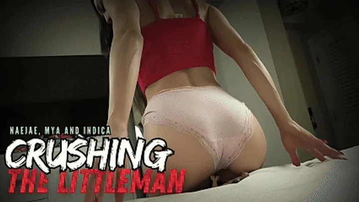 Natasha's Ultimate Domination: Littleman's Unforgiving Punishment (720p )