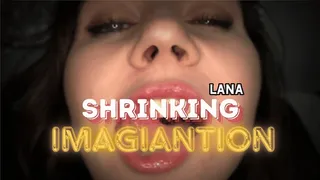 Lana's Ultimate Shrinking Fantasy: Inside and Beyond