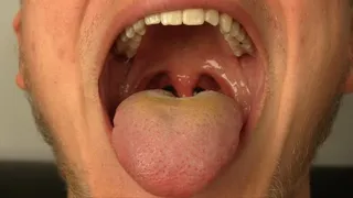 Jordan's Mouth
