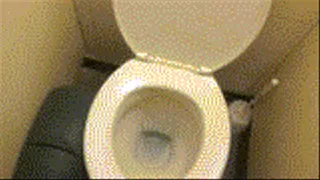 Pee Public Toilet Clip with Sound Effects