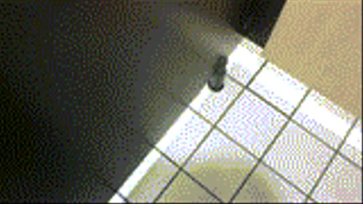 Public Toilet Clip - - Pee