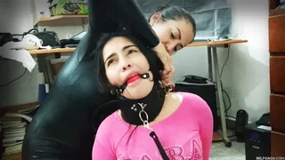 From Captive to Pet: Katherine's Lesbian Bondage Taming Experience