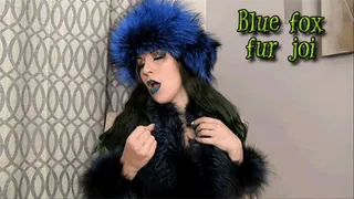Blue fox fur joi