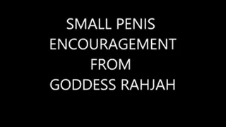 Your Small Penis is Great!