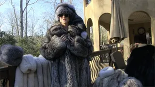 Lethal Agent Aleana Tracks A Fur Thief