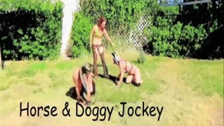 & Doggy Jockey - Part 2/2