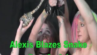 Alexis Blazes Snake - 3 of 4