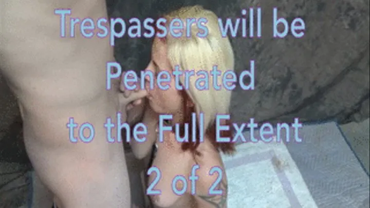 Trespassers will be Penetrated to the Full Extent - 2 of 2