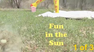 Fun in the Sun 1 of 3