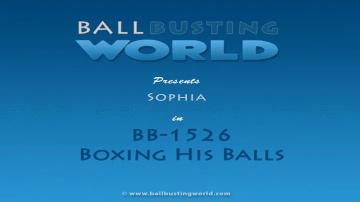 Sophia Boxing Ballbusting BB1526