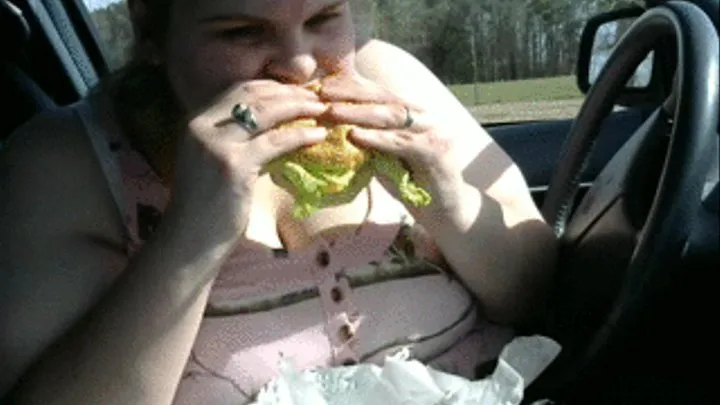 Me eating a huge hamburger and french fries in the car