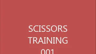 SCISSOR TRAINING 001