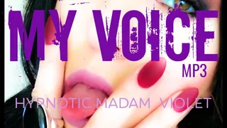 My Voice