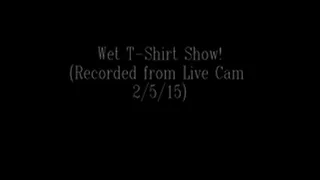 23. Wet T-shirt Show